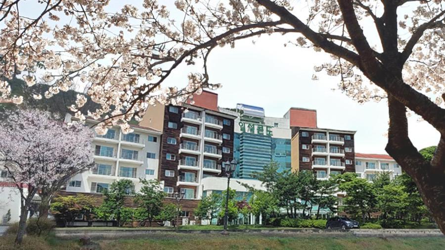 Muju Ilsung Condo Exterior foto
